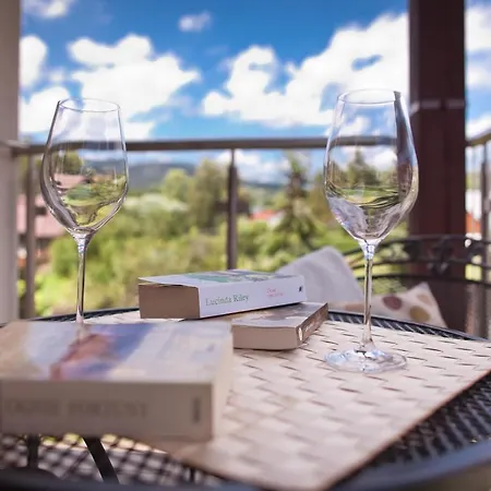 Lägenhet Aba Z Parkingiem Krynica-Zdrój